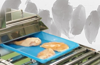 事例介绍<br>鸡胸肉的碎骨检测的介绍（鸡骨检测机）